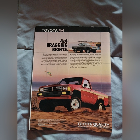 LOT OF VINTAGE 1999 ALI SALVINO'S BAMMERS - MUHAMMAD ALI BEAR, BUTTERFLY AND BEE - Picture 16 of 16